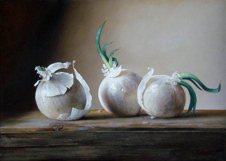 © Paul S. Brown, Onion Series White
